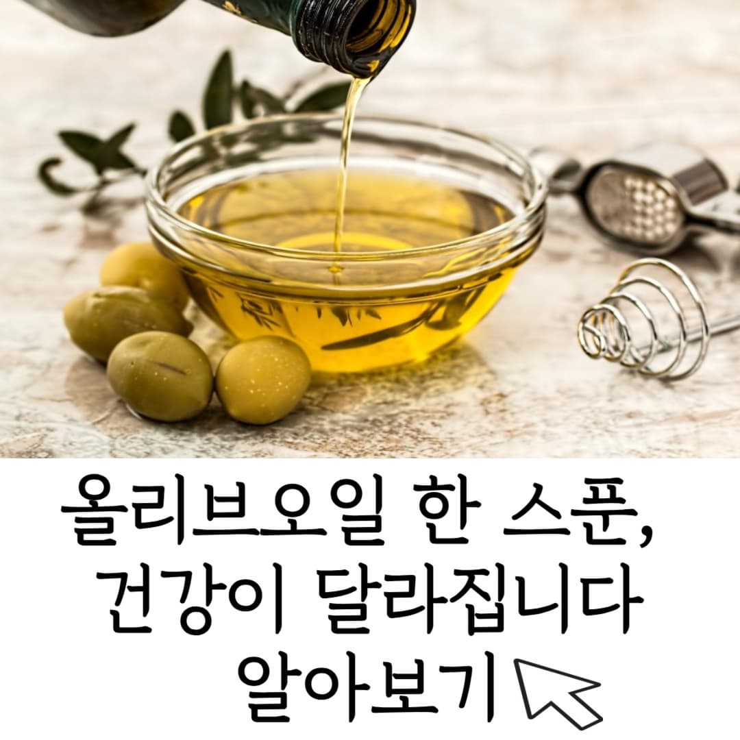 올리브 오일 완벽 가이드_효능, 선택 법, 보관·요리 활용까지