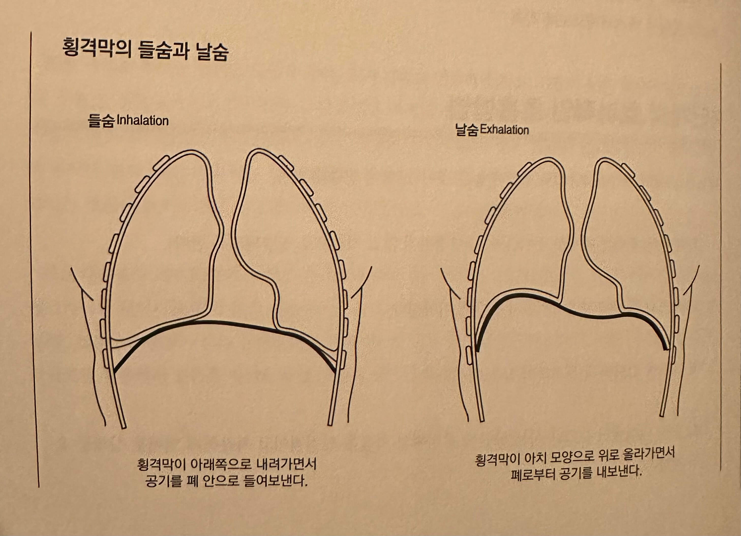 실전 호흡 연습