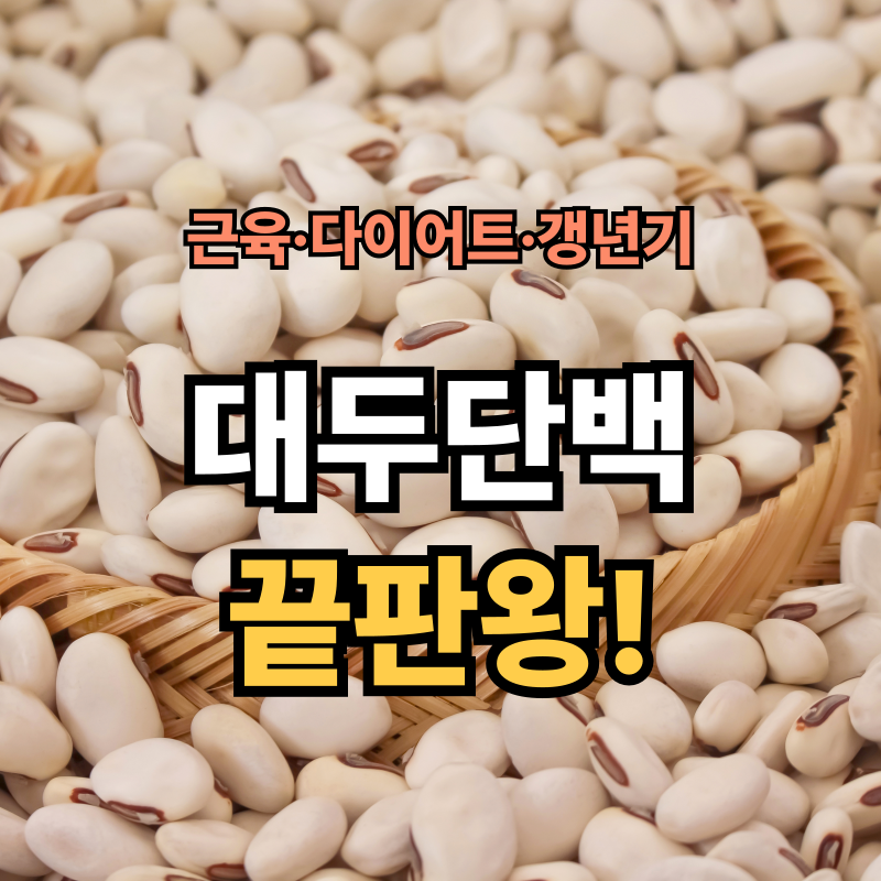 🫘 대두단백, 식물성 단백질의 왕! 효능부터 부작용까지 한눈에 보기
