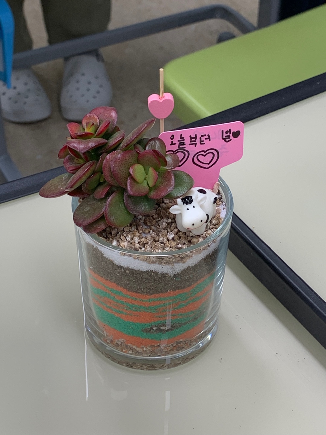 색모래 다육이 테라리움