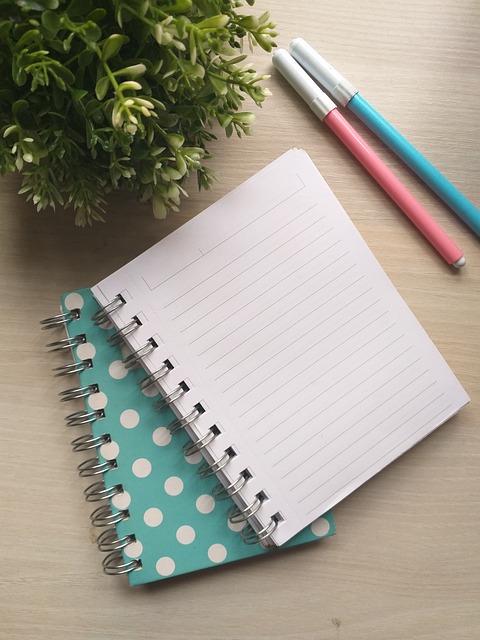 언어가 사고 구조를 바꾸는 방식 인지과학이 말하는 ‘말의 틀’이 생각을 움직이는 원리