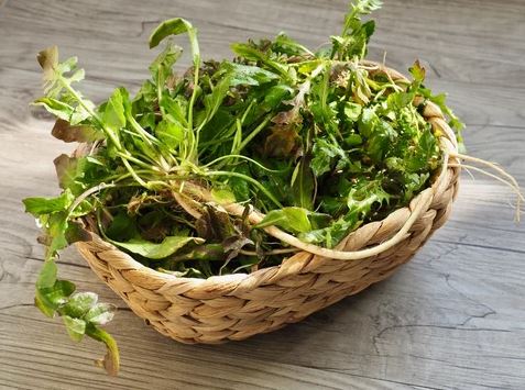 봄나물의-종류와-사진을-소개합니다.-봄나물의-종류로는 냉이-달래-쑥-미나리-등이-있습니다