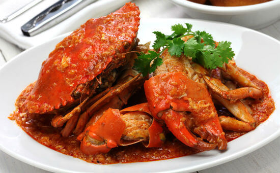 싱가포르 대표음식 싱가포르 맛집 싱가포르 카야토스트 싱가폴 음식 싱가포르 먹거리 싱가포르 전통음식 싱가포르 음식점 싱가포르 음식 축제 말레이시아 싱가포르 음식여행 싱가포르 음식 추천 싱가포르 음식가격 신촌싱가포르 음식점 싱가포르 여행 음식 싱가포르 도로통제 음식점 싱가포르 음식문화