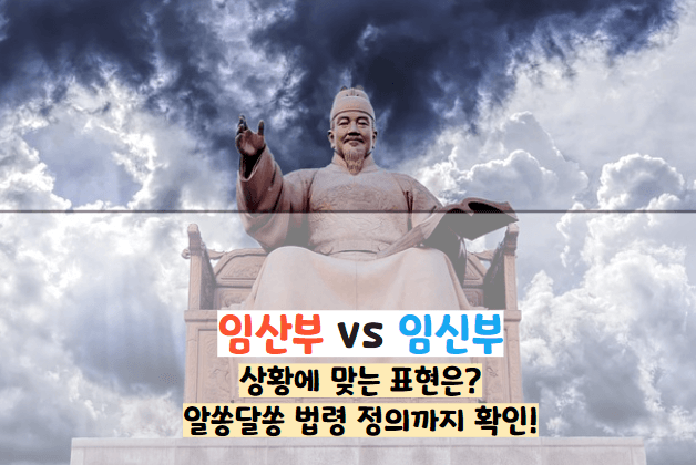 임신부 임산부