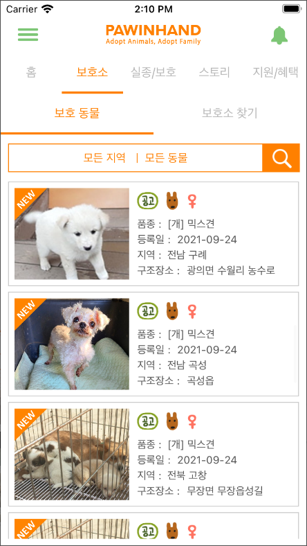 포인핸드, 유기동물 입양 & 실종동물 찾기