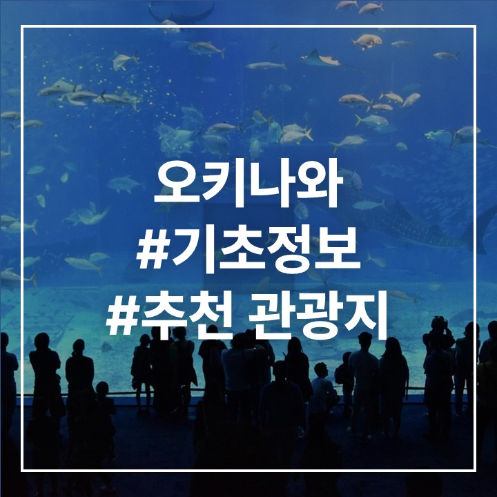 오키나와사진