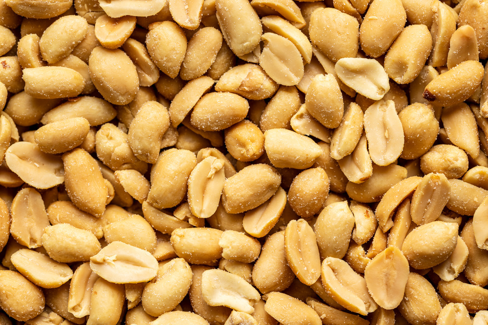 단백질 많은 음식 8가지