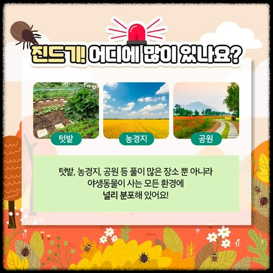 가을철 진드기 감염병 주의보 - 안전한 산행을 위한 팁