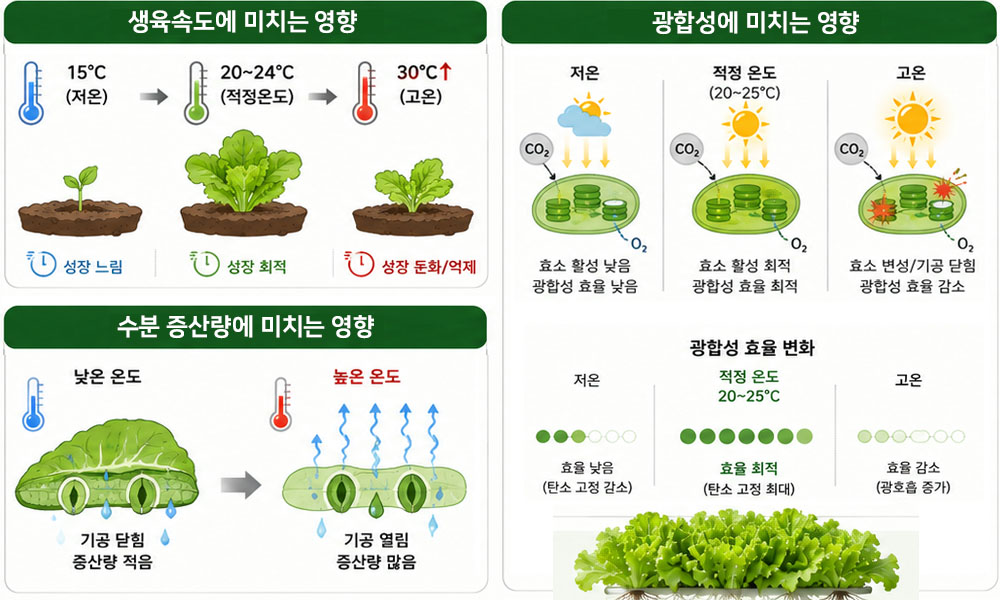 온도변화가 작물에 미치는 영향