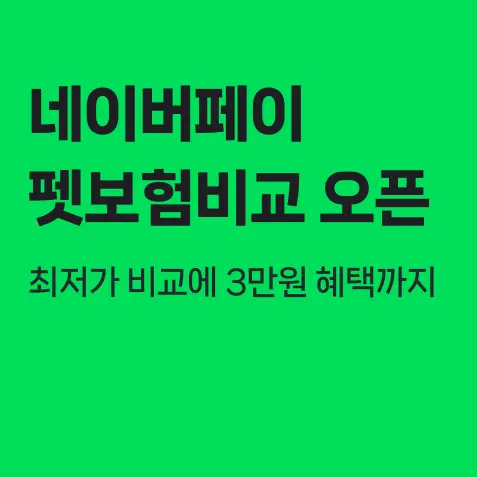 네이버페이 펫 보험 비교 추천 서비스 오픈 Npay 이용 방법 메리츠화재 삼성화재 현대해상 DB손해보험 KB손해보험