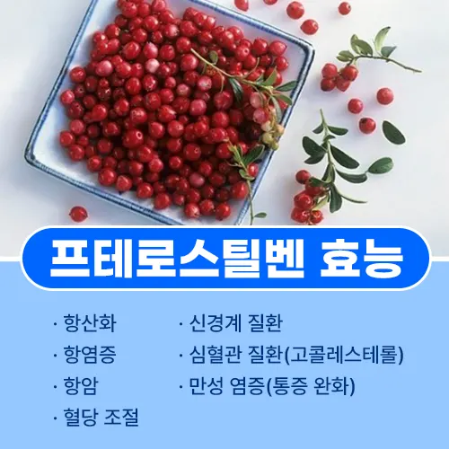 프테로스틸벤 효능