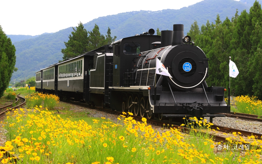곡성증기기관차예매