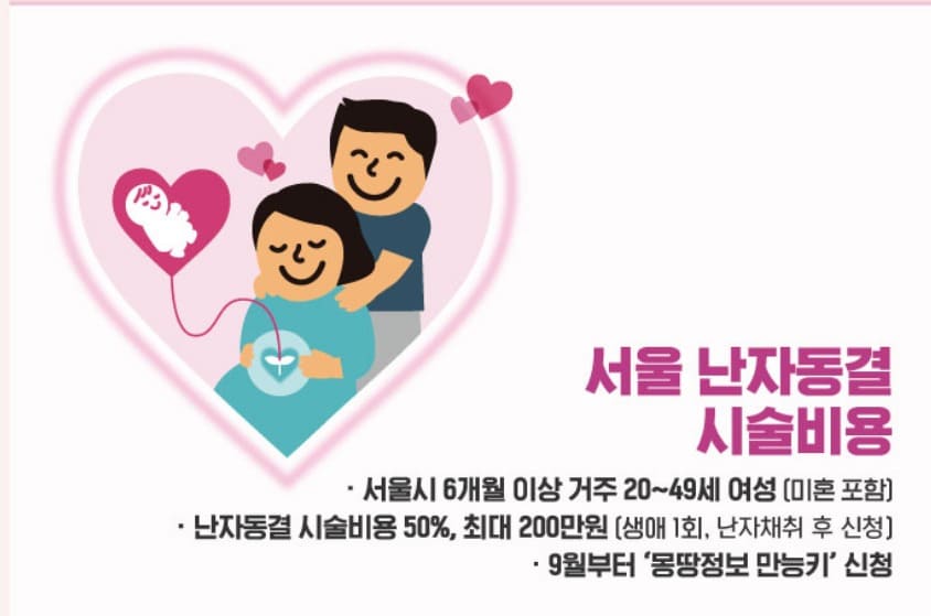 난자동결 시술비 지원