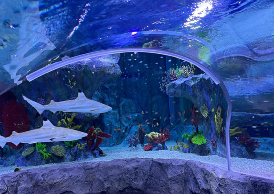부산 씨라이프 아쿠아리움
