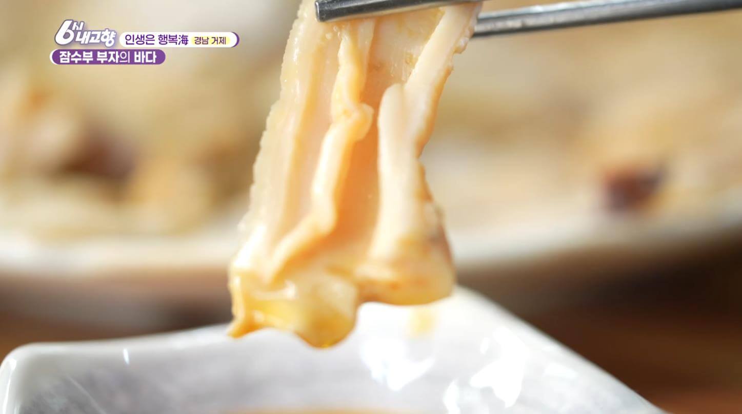 6시내고향 잠수부 부자의 바다 코끼리조개 왕우럭조개로 만든 회