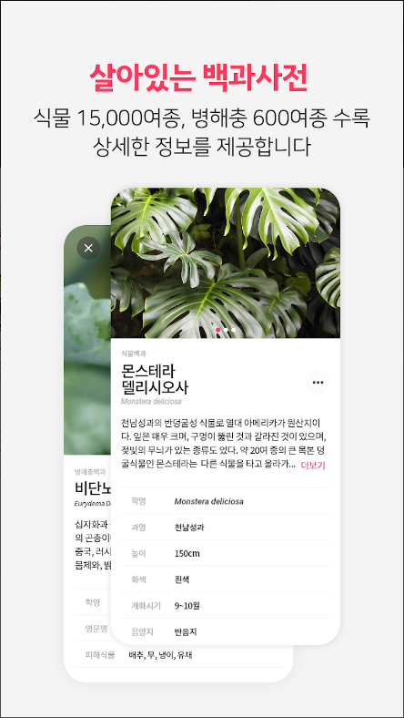 식물이름 찾기 어플, 식물이름 AI 찾기, 병충해 진단, 식물 수집 하기, 버픽