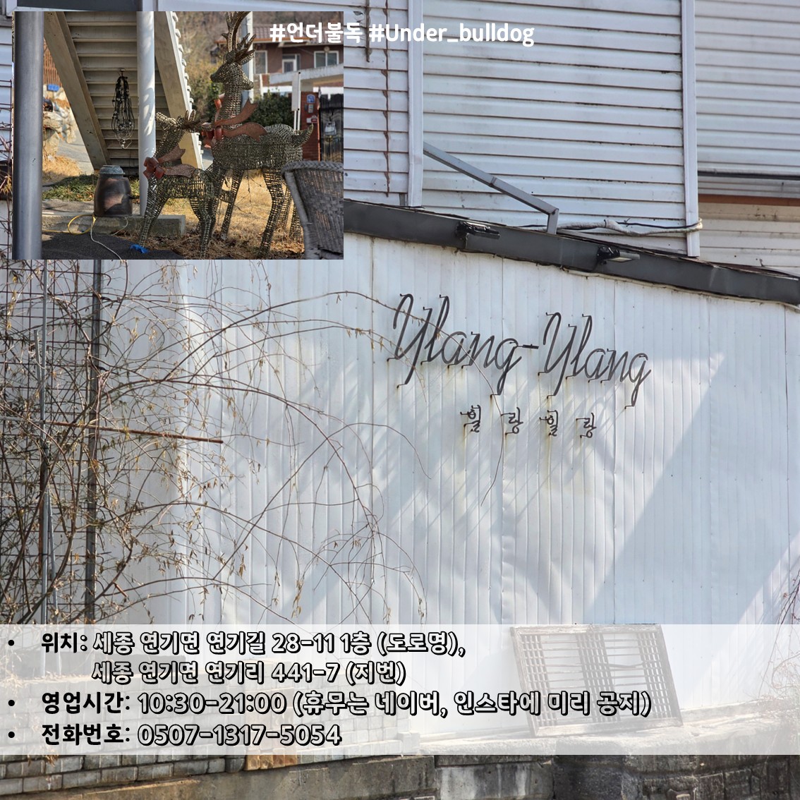 세종에서 조용히 쉬기 좋았던 연기면 감성카페