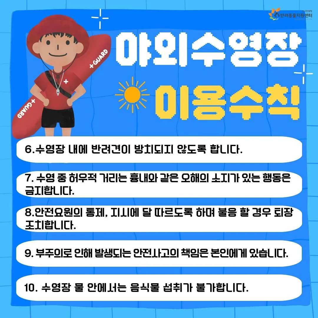 밀양 강아지 수영장