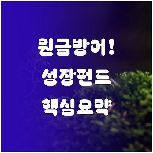 국민성장펀드 원금 손실 방어 구조 및..