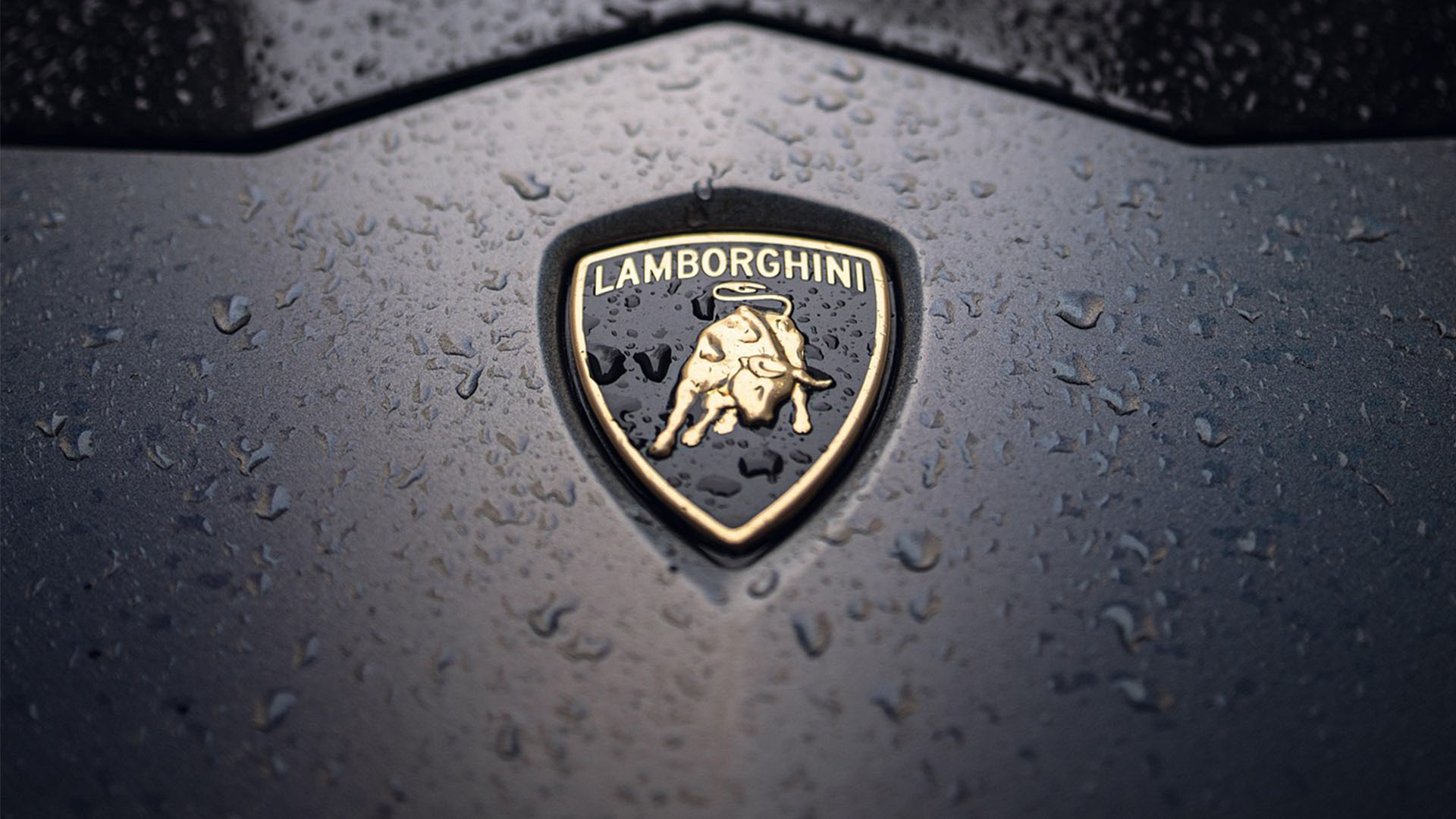 짙은 검정색 차체 위에 있는 람보르기니 엠블럼, 검정 방패에 돌진하는 듯한 자세의 금색 황소(Bull)가 새겨져 있다