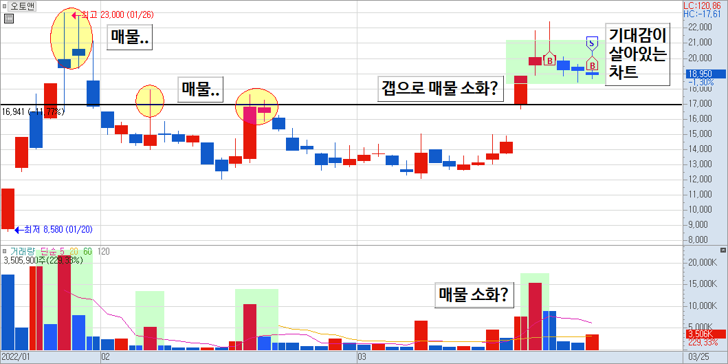 오토앤 일봉 차트