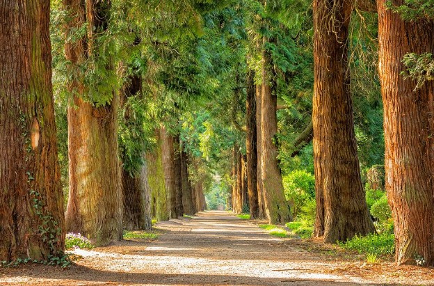 2023년 에너지바우처 지원금액 단가 인상