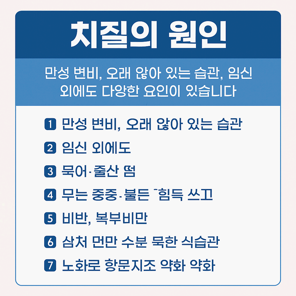 치질자가치료