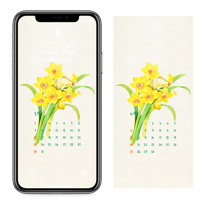 12 노란색 수선화 일러스트 AB - 2025년3월 아이폰달력배경화면