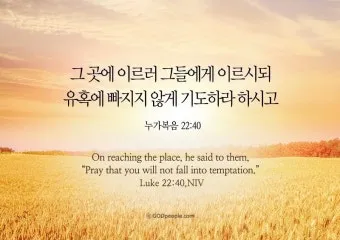 매일성경묵상과 말씀 묵상(누가복음 12장 13-34절) 누가 네 인생의 진정한 주인인가?_11