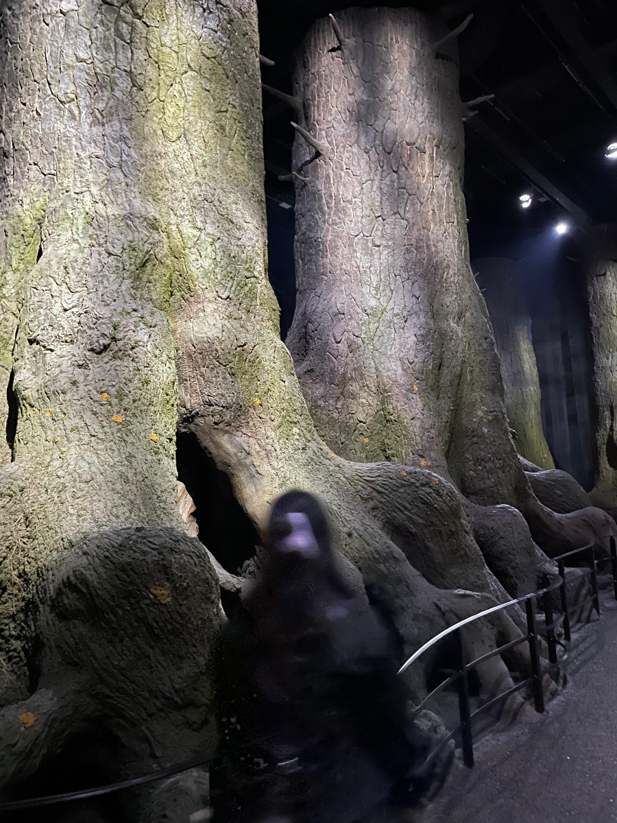 3-08. 워너 브라더스 해리포터 스튜디오 - 금지된 숲