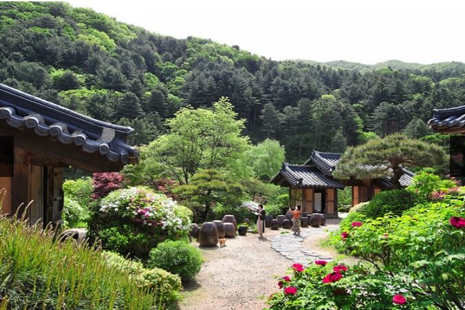 아침고요수목원 봄사진