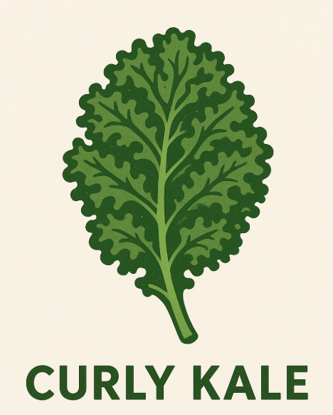 컬리케일(Curly Kale)