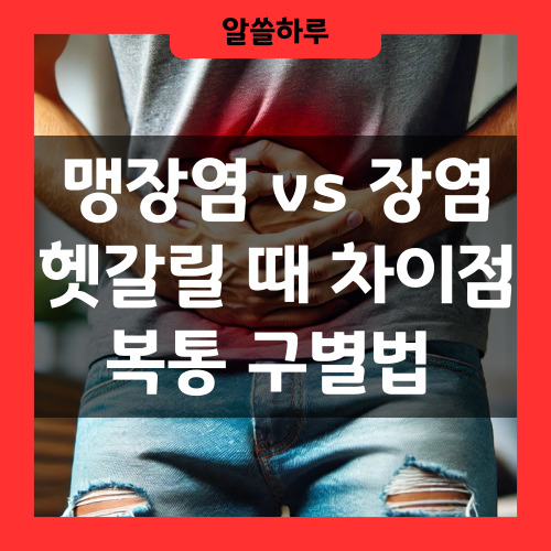 맹장염과 장염 복통 구별법