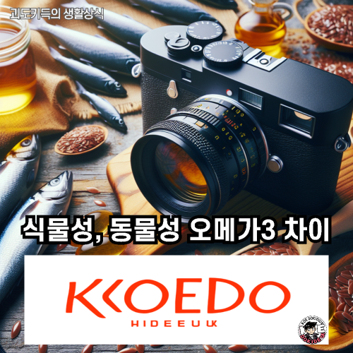 식물성-동물성-오메가3-차이-사진