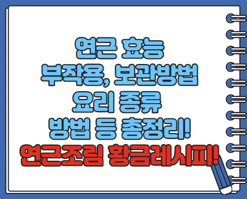 연근 효능 요리종류 보관방법 연근 조림 만드는 방법 총정리