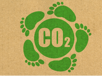 서울시 에코마일리지 vs 탄소중립포인트 제도 차이점 완벽 비교