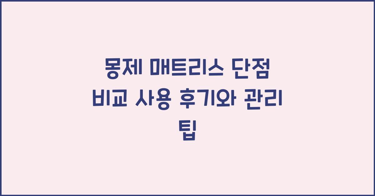 몽제 매트리스 단점