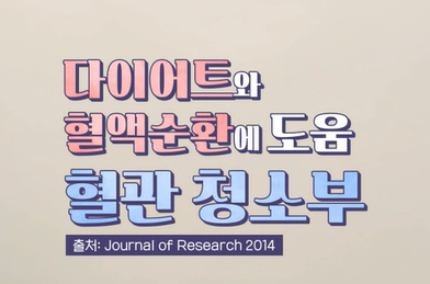 시서스 효능