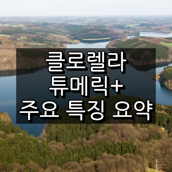 클로렐라 튜메릭+ 대표 이미지
