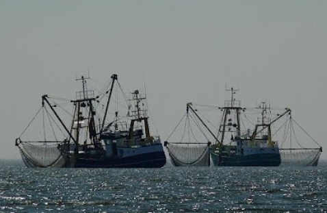 정부 지원 혜택