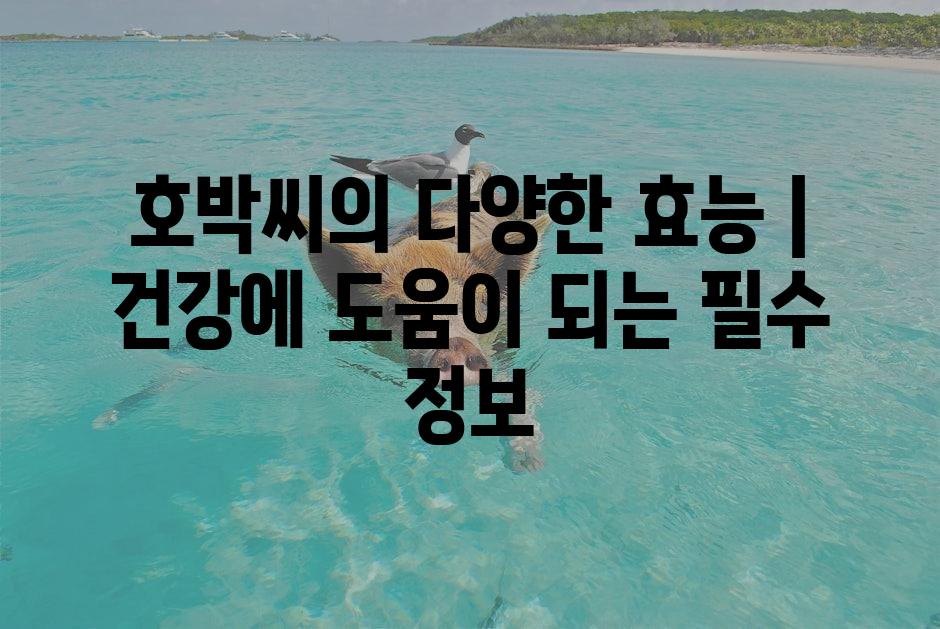 샘플 (1)