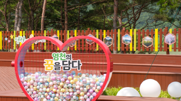 영천 보현산댐 출렁다리