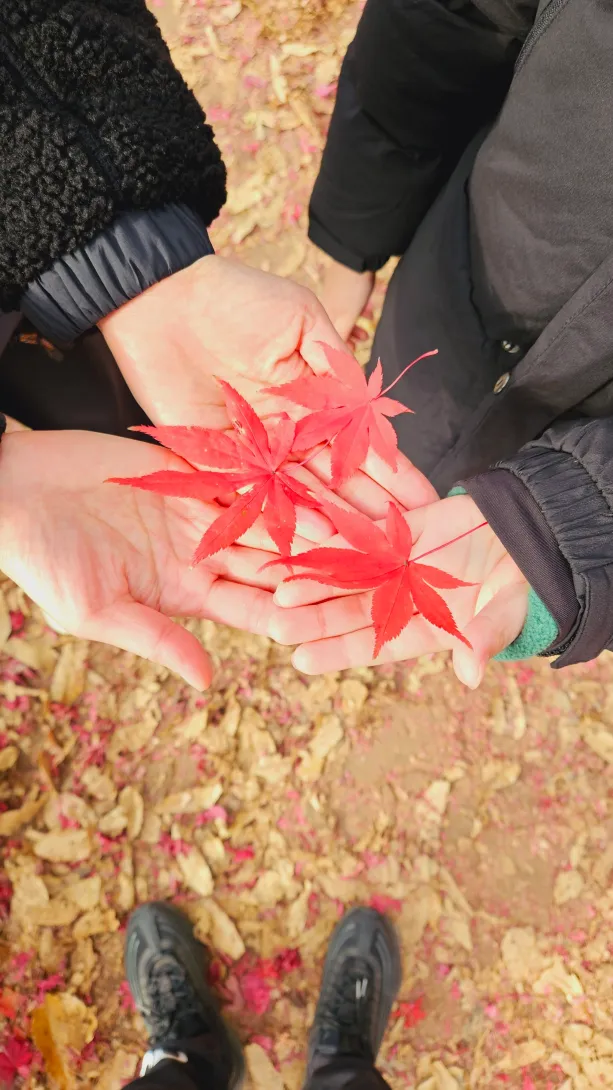 함안 입곡 군립공원