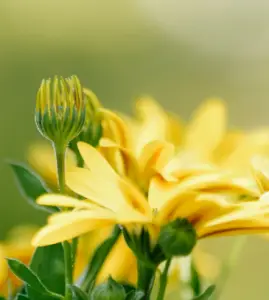 좋은글귀-이미지-사진2