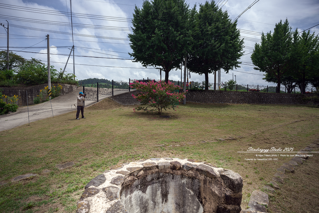 #안동 #체화정 #연꽃 #연못 #배롱꽃