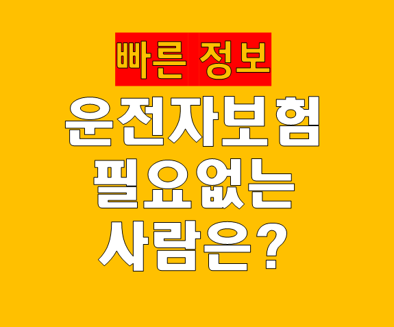 운전자보험 꼭 필요한 사람 vs 필요 없는 사람 구분법|가입 전 이 기준부터 확인해요