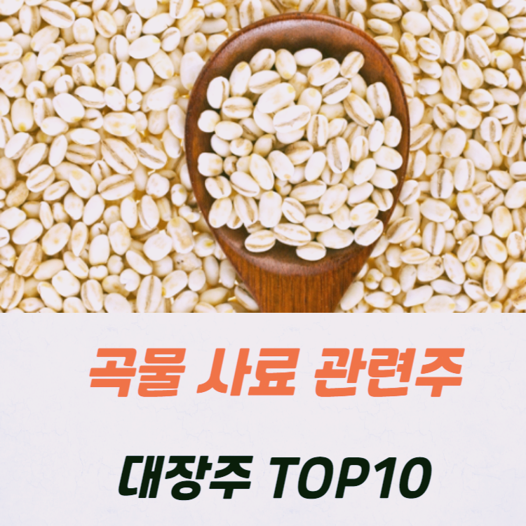 곡물 사료 관련주 대장주 10종목 정리