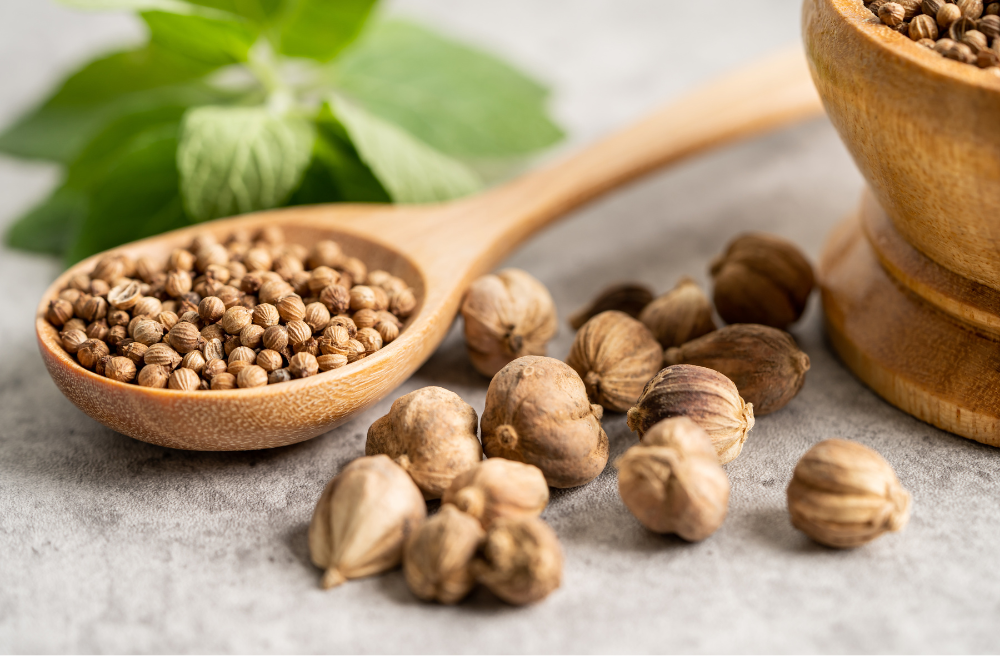 밀크씨슬 효능 부작용