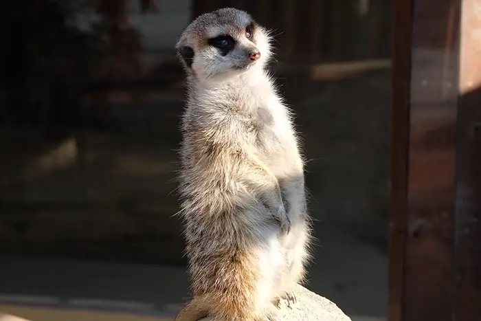 순천만-국가정원-입장료-운영시간-요금