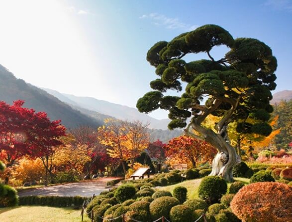 가을 단풍 명소 추천